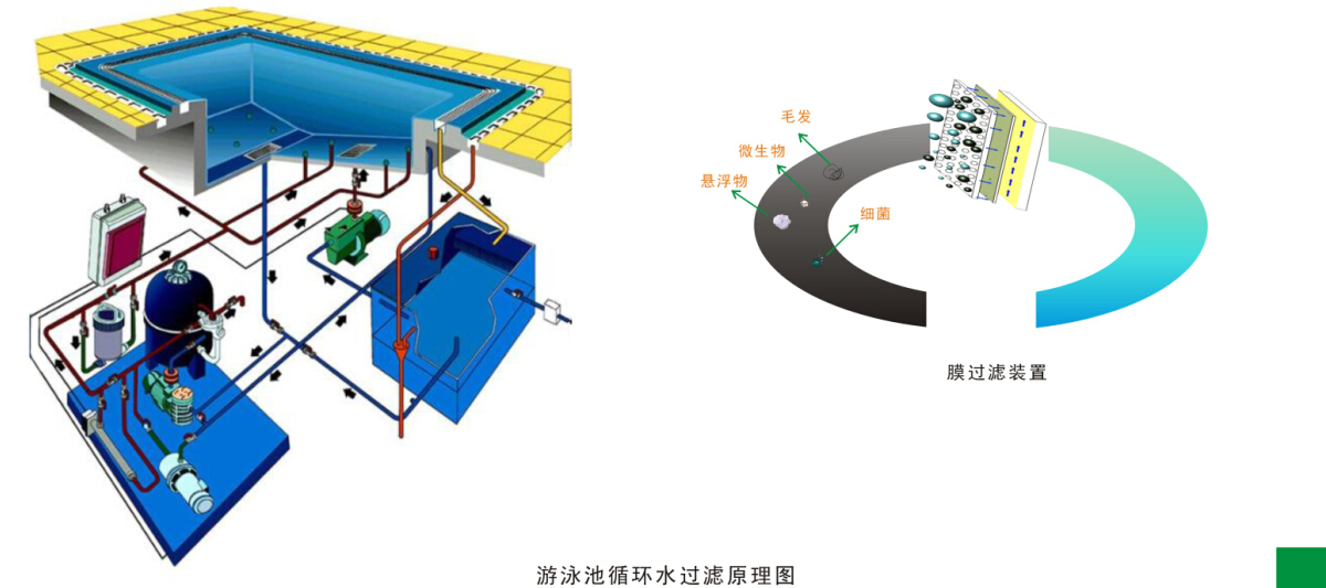 游(yóu)泳池水循环净化处理工(gōng)程